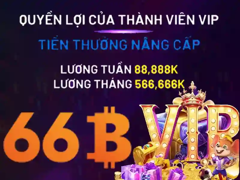 66b nss – Hành trình đổi mới, trải nghiệm 66b và giao dịch 66b