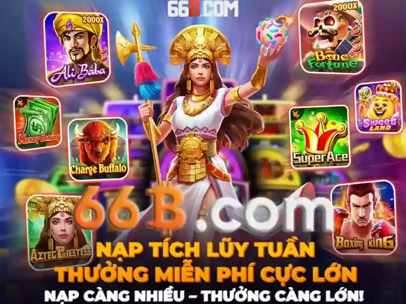 Tong quan ve ban ca 66b