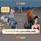 Khái niệm 66b và ảnh hưởng của nó