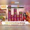 66b — một khởi nguồn của sự tò mò